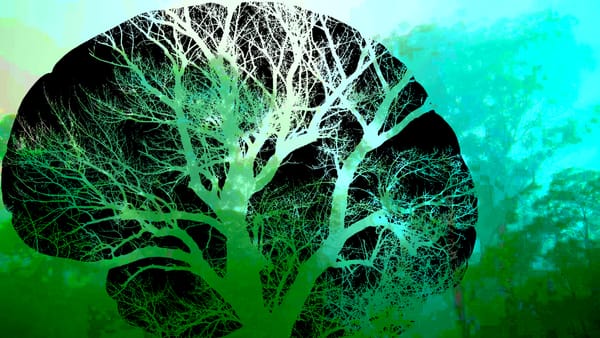 From the Couch to the Commons: Mental Liberation Through Eco-therapy Part I